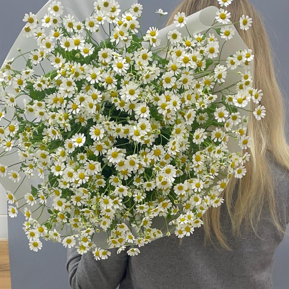 Букет ромашек