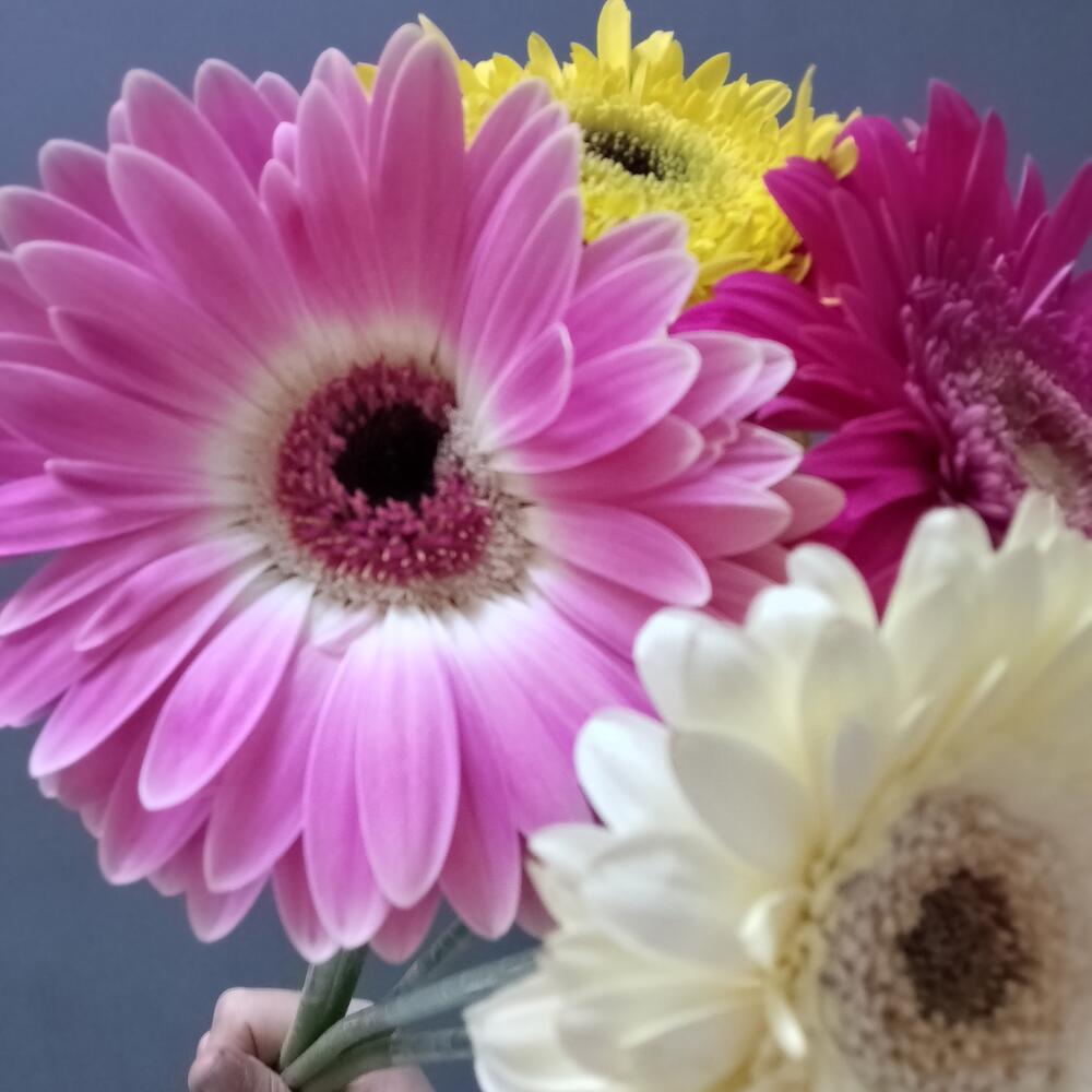 Для души