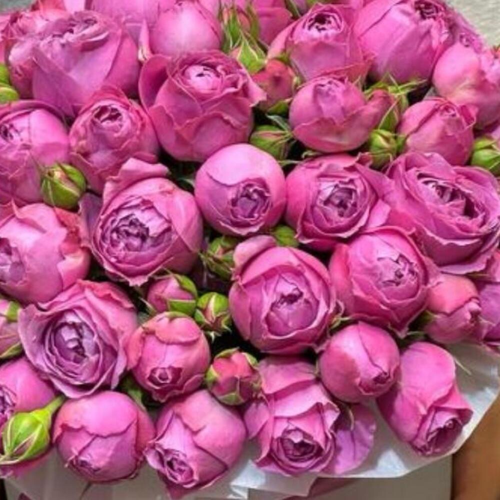Пионовидные розы в коробке🌷🌷