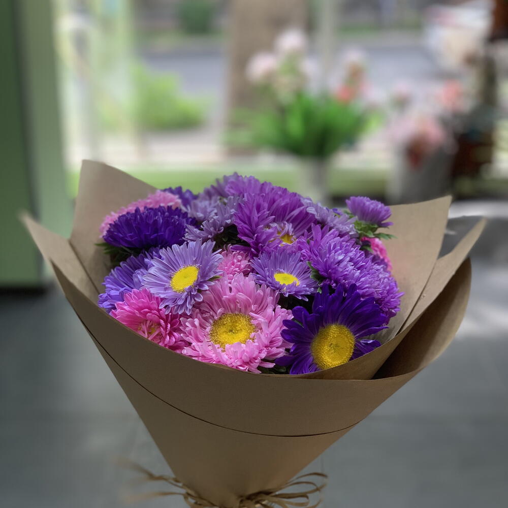 Asters mix in craft