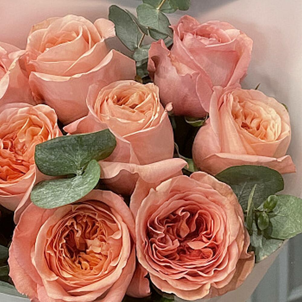 Букет пионовидных роз Pink Expression и эвкалипта