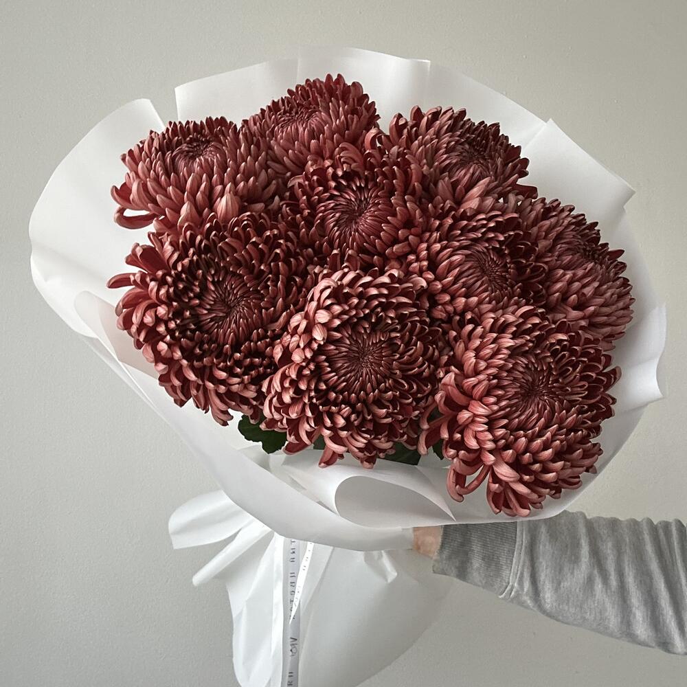 Хризантема Bigoudi Red