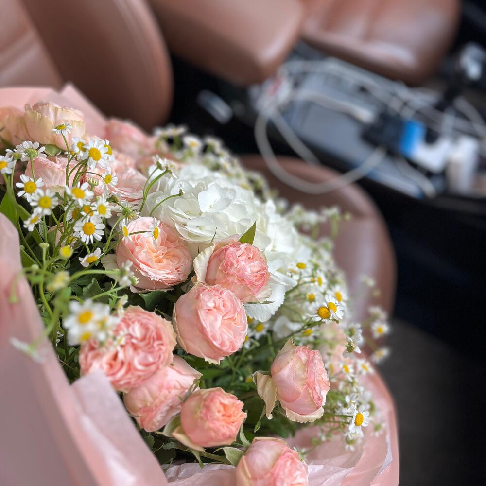 Elegancy🌸