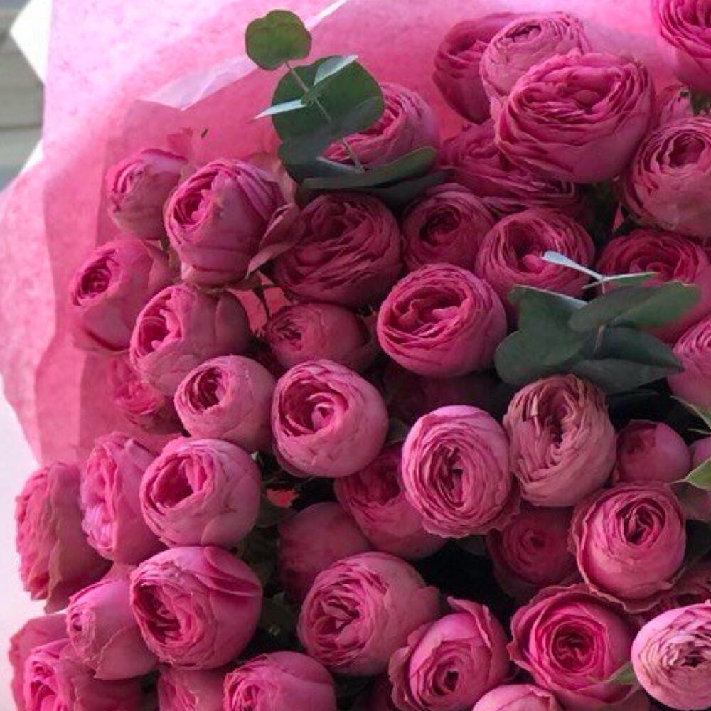 Букет Pink Boss из 15 кустовых роз сорта Жизель с эвкалиптом