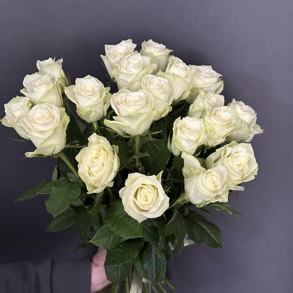 Роза белая 19 шт