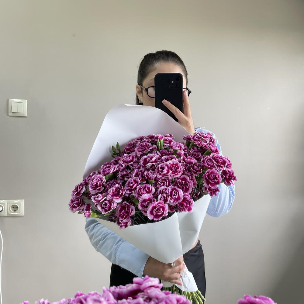 39 кустовых диантусов