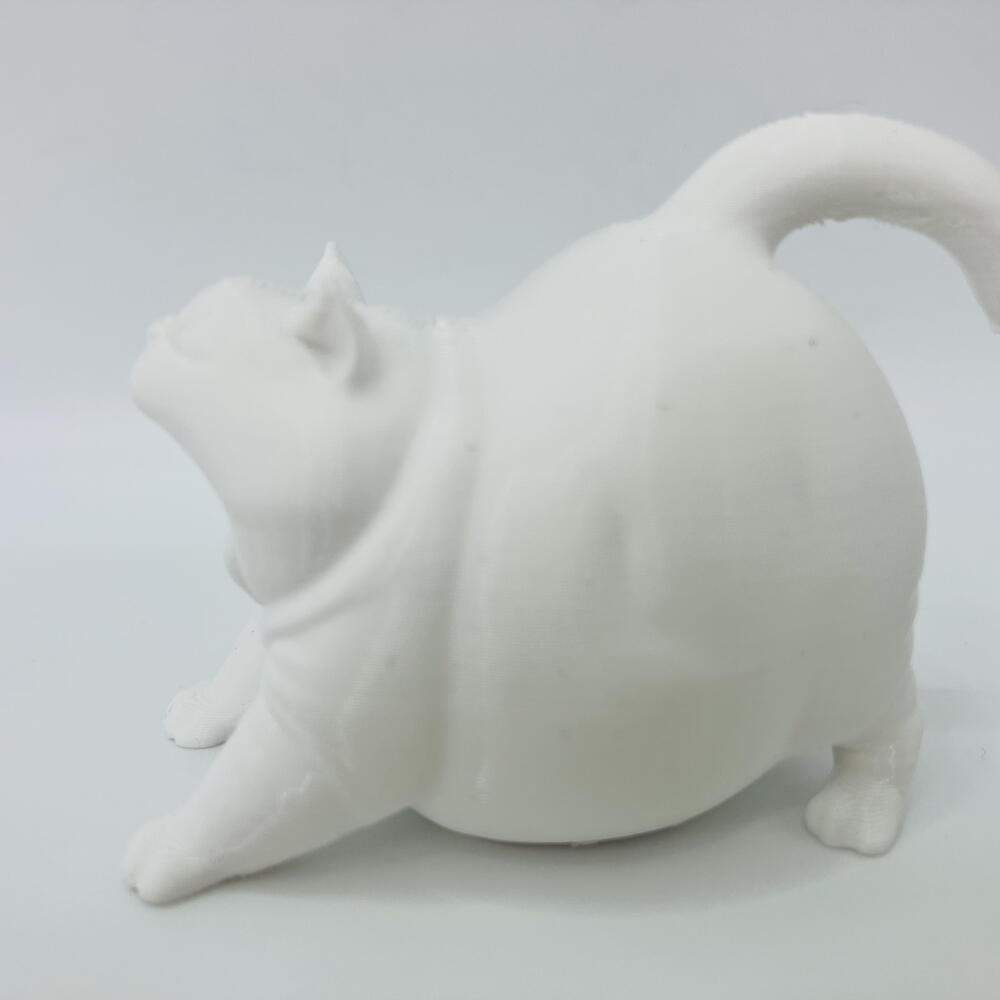 кот зевун котозилла белый
