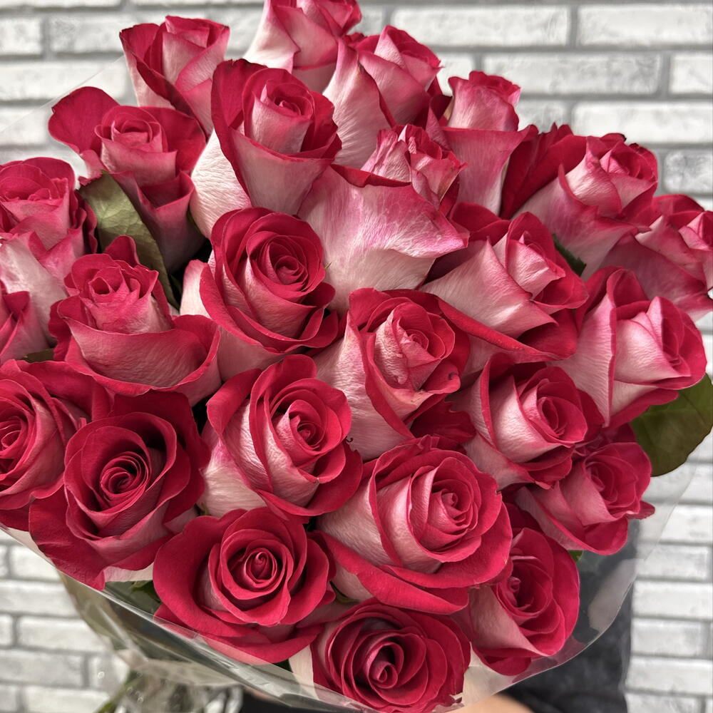 Роза 25 🌹