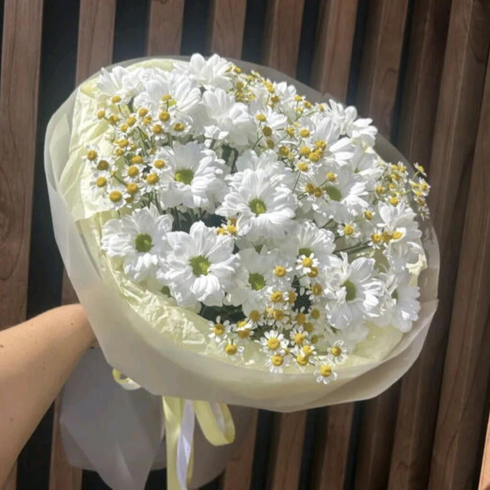 Ромашковое поле