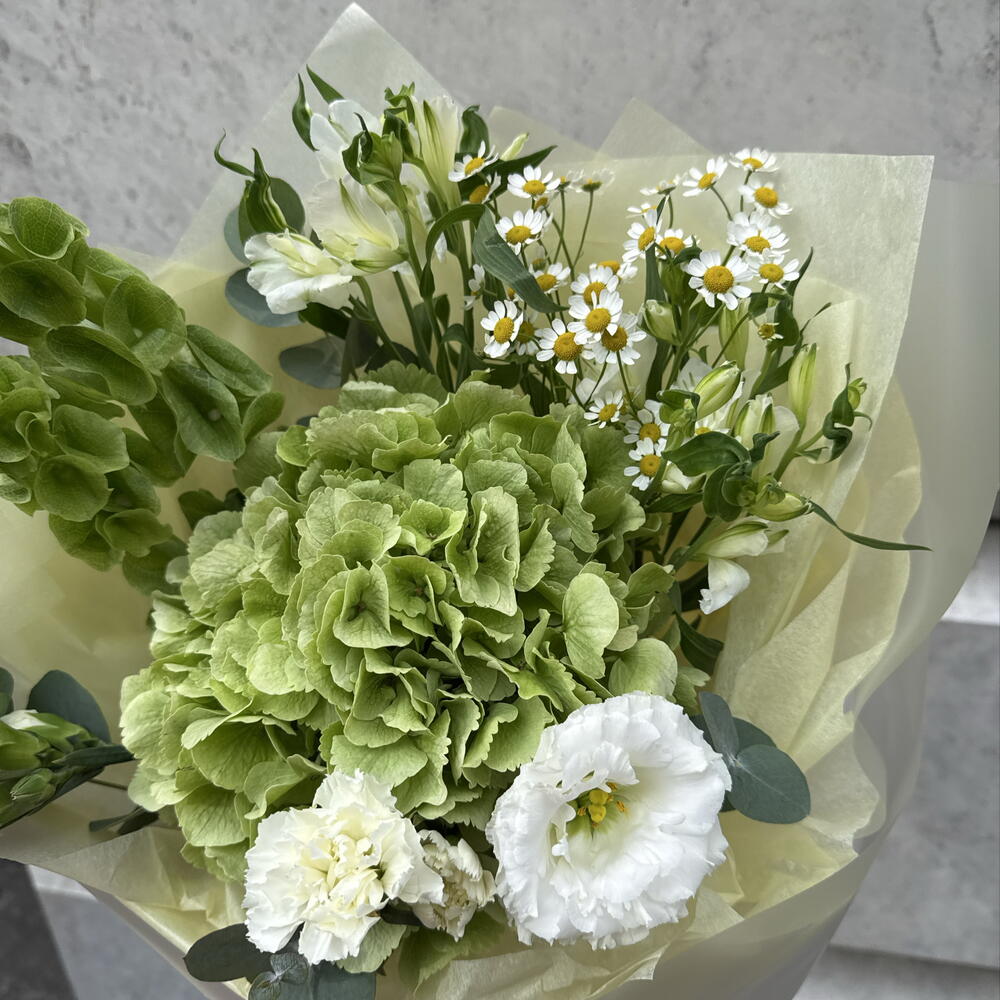 Букет с гортензией и молюцеллой — нежный объёмный букет в подарок 💐