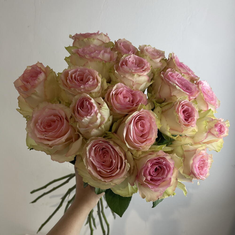Розы нежные 🌸19