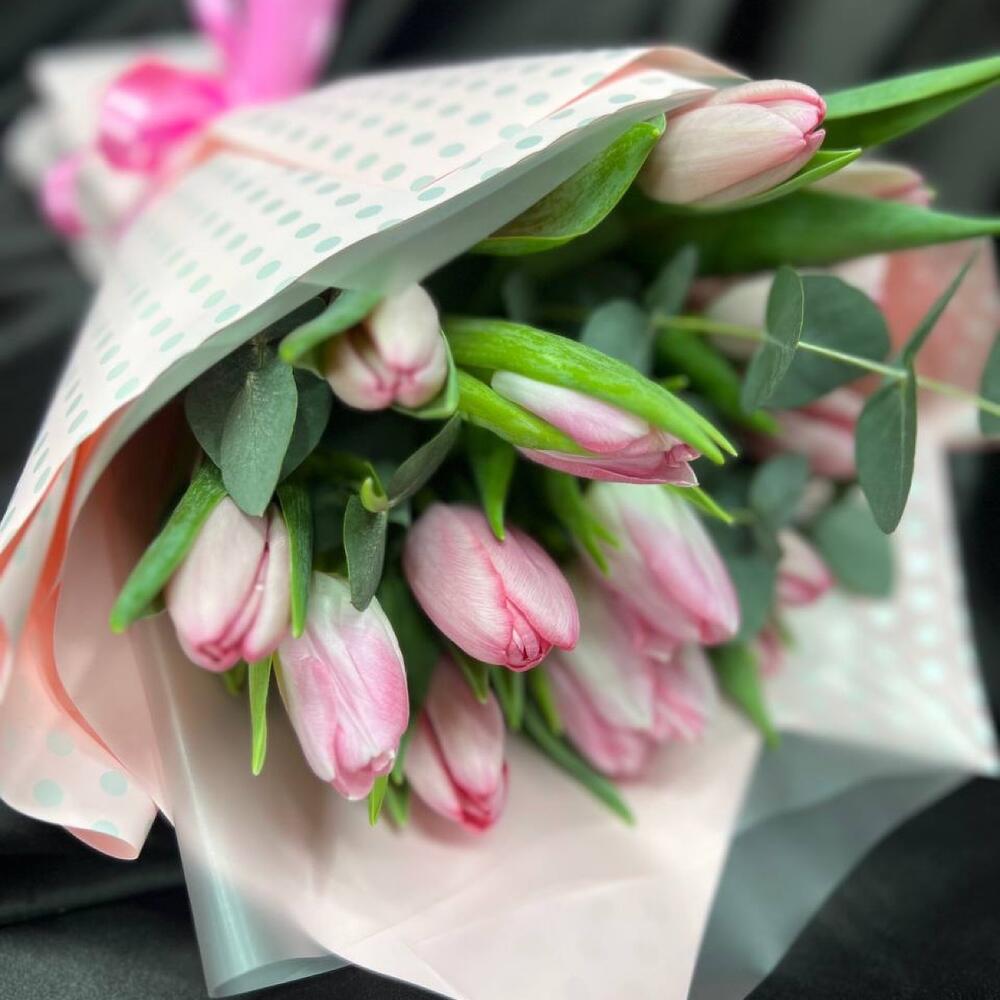 Delicate Tulips 15pcs Holland