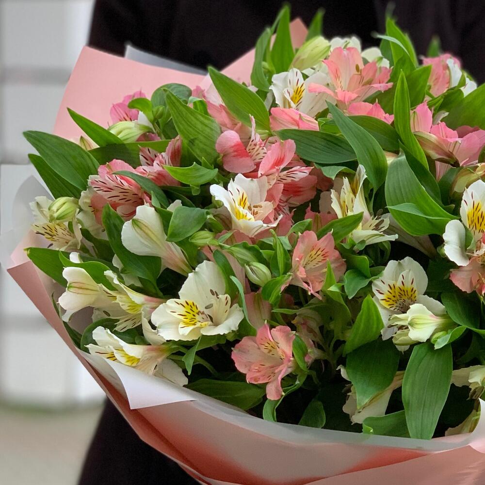 Альстромерия 11 веточкк