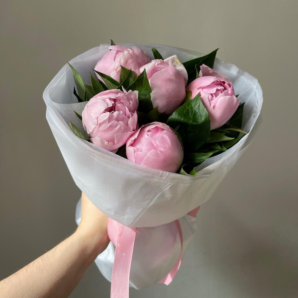 5   нежно розовые пионов