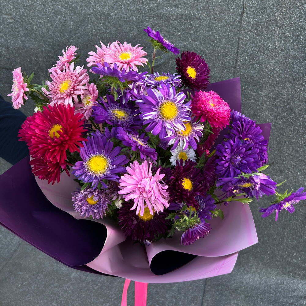 Aster 🌸🌺