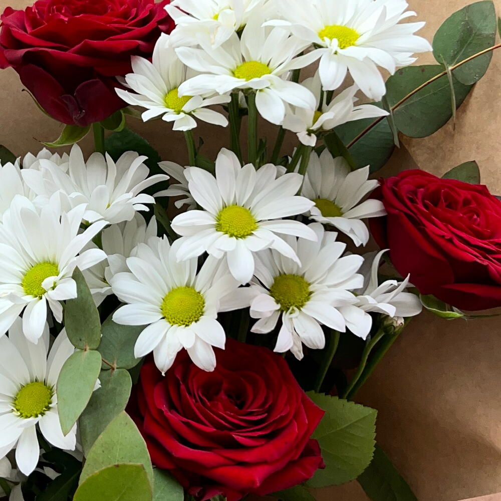 Bloom 🌹🧚🏻‍♀️