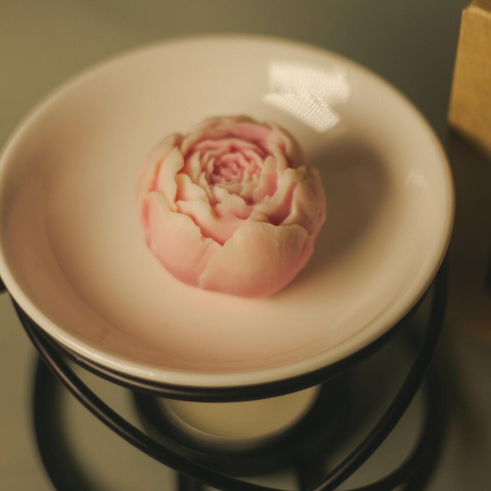 Набор аромалампа черная+wax melts пионы