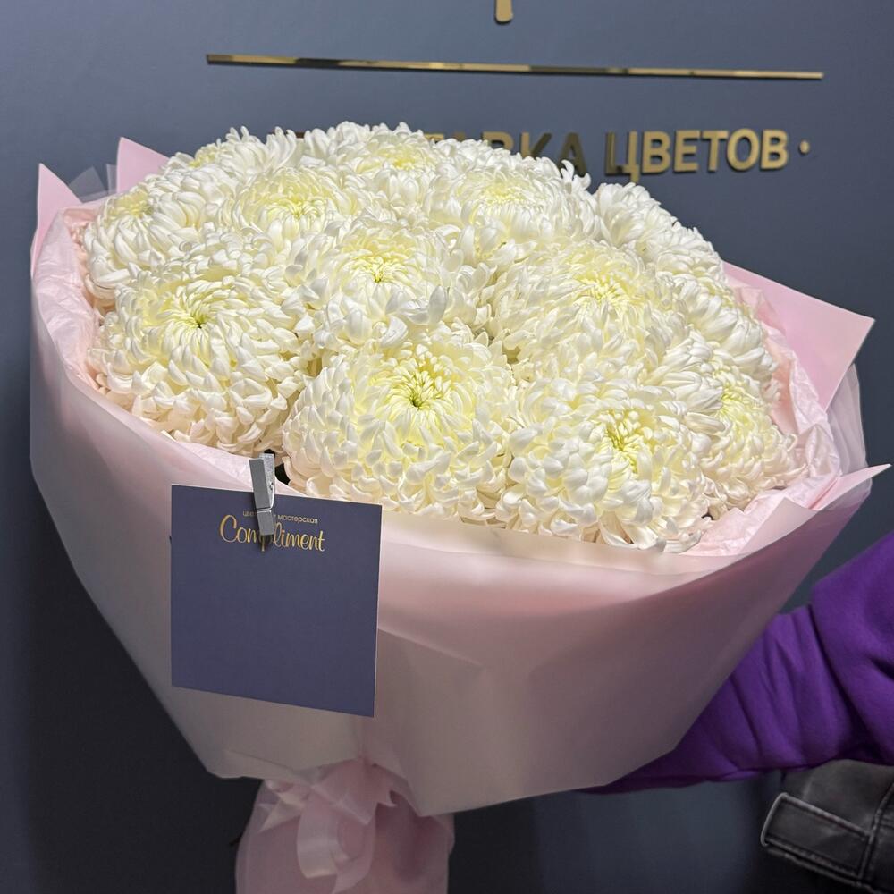 15 хризантем шаровидные
