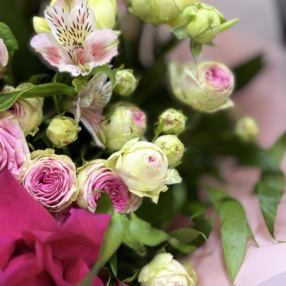 Rose Mth