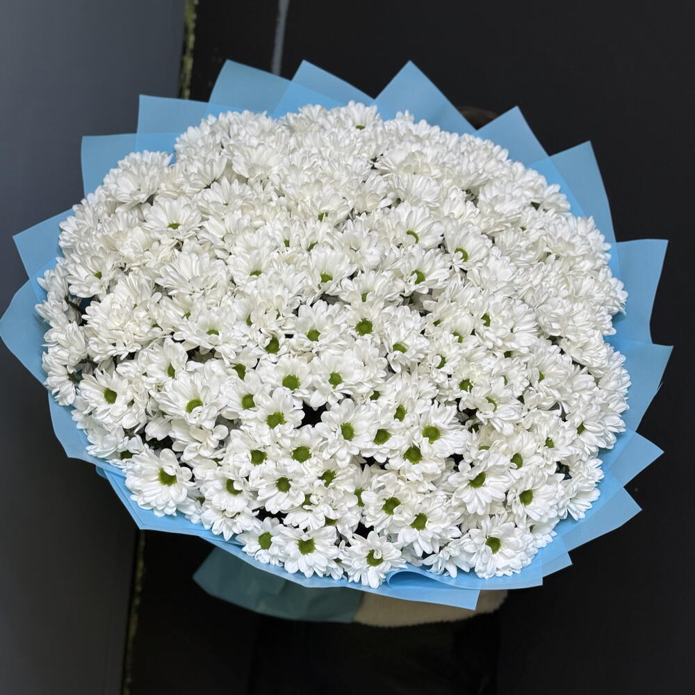 букет из кустовых хризантем 🤍