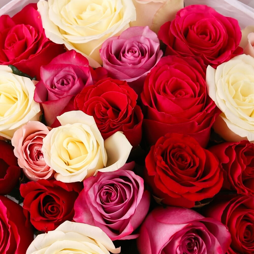 Букет 25 ярких роз микс