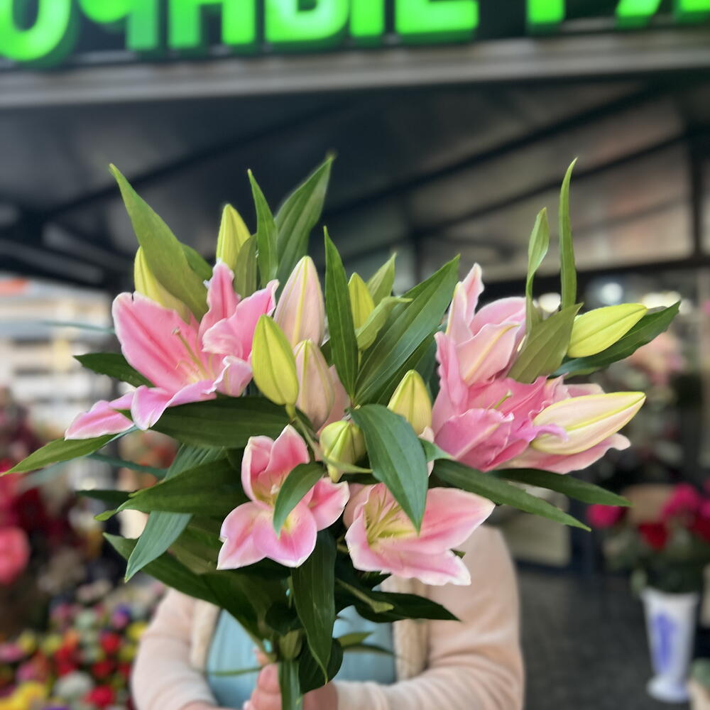 Розовая лилия 🌸🌸🌸