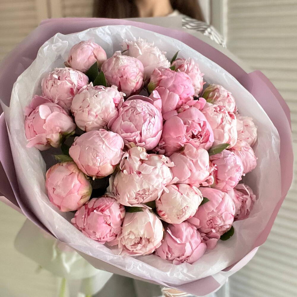 Розовые пионы Сара Бернар 25