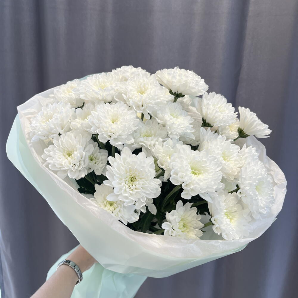 5 кустовых хризантем
