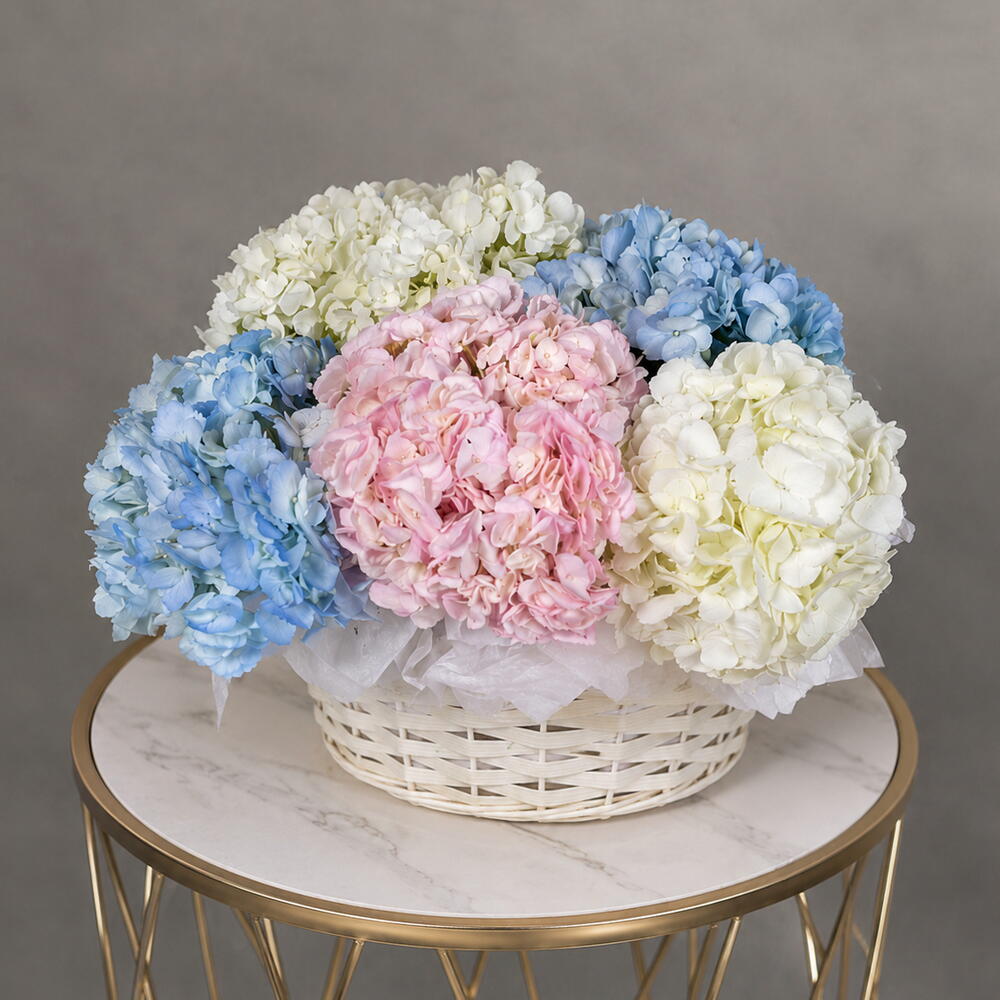 Ivory Bloom
