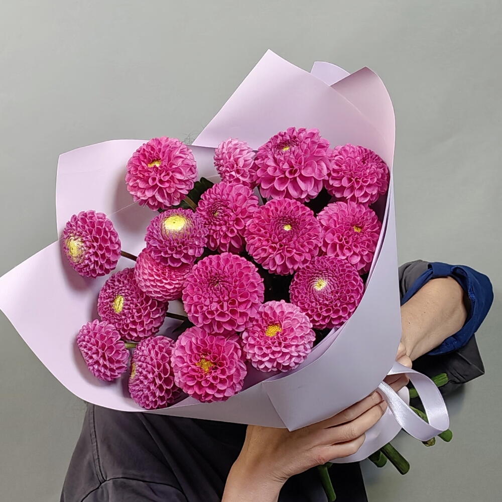 Георгины 17