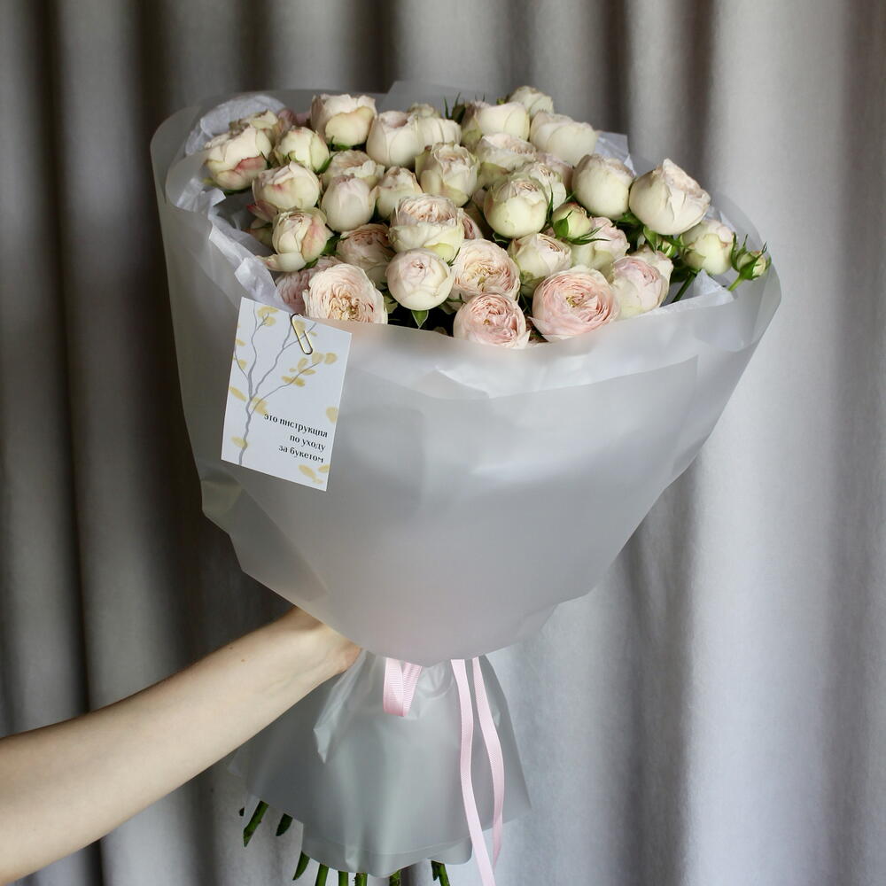 АКЦИЯ Пион роза 15 шт