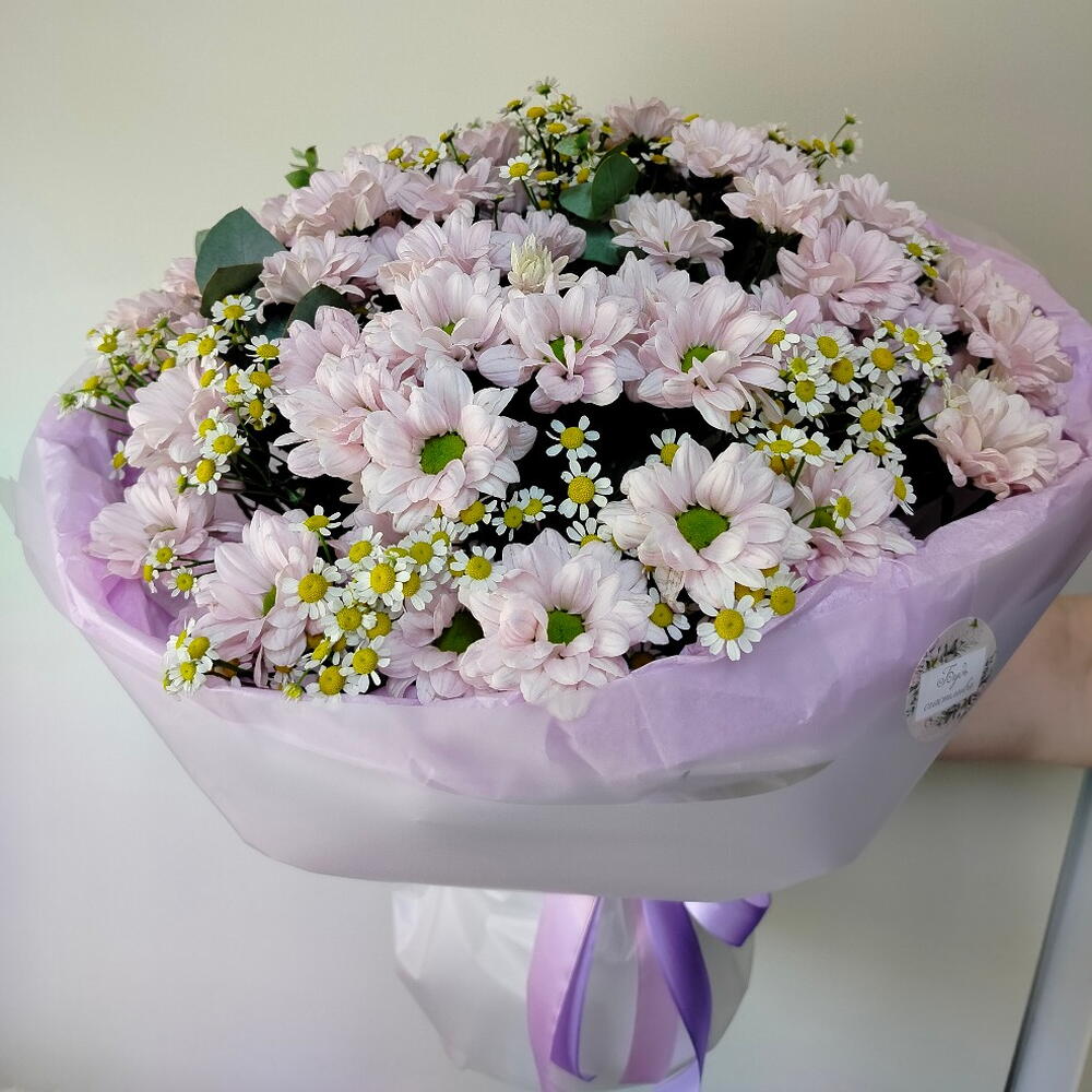 Ромашковое поле