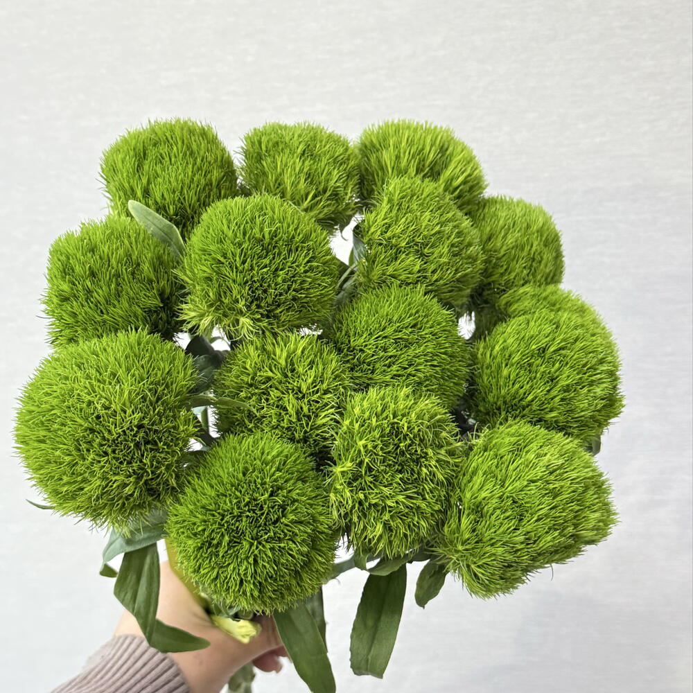 Green Trick