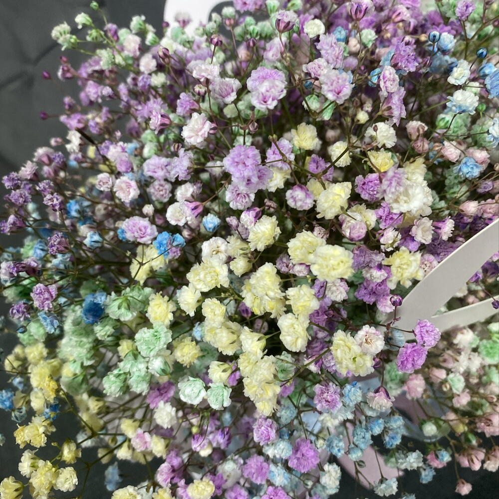 Композиция из гипсофилы