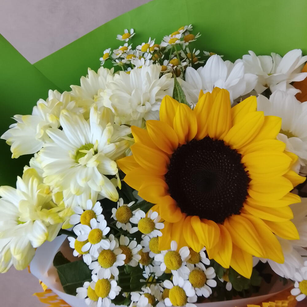 Подсолнух с ромашками