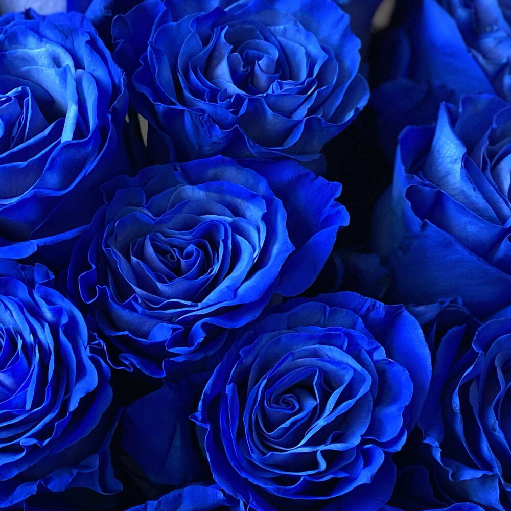 Букет синие розы 15 шт💙