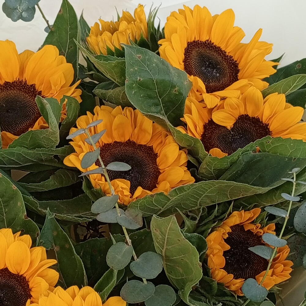 Солнечный букет из подсолнухов🌼