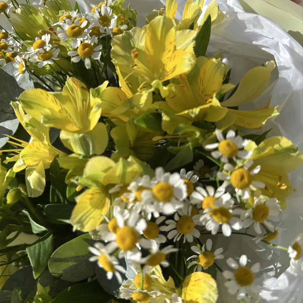 Букет лимонный 🍋 «яркий лимонад» в составе альстромерия, эвкалипт и ромашка