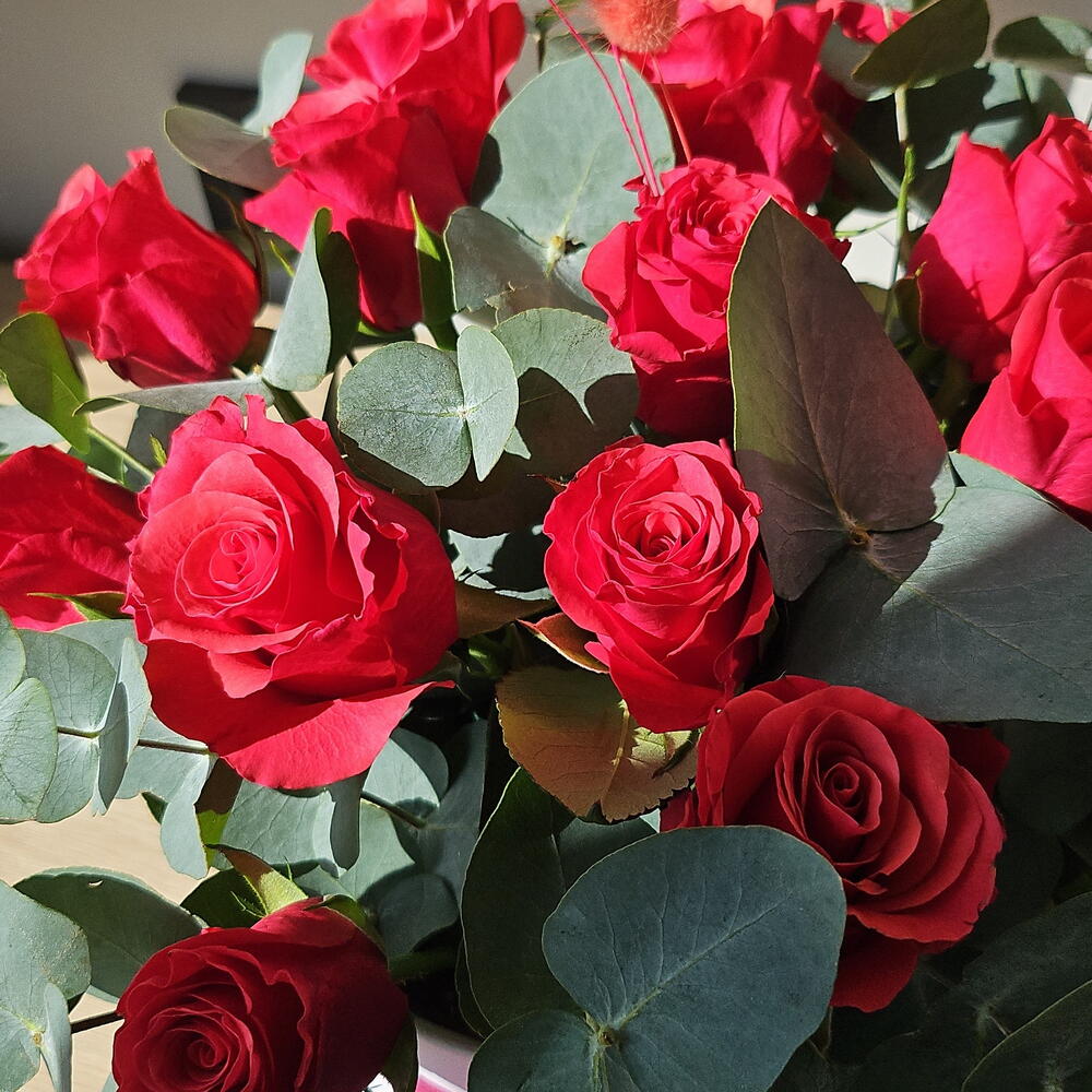 Малиновый рассвет