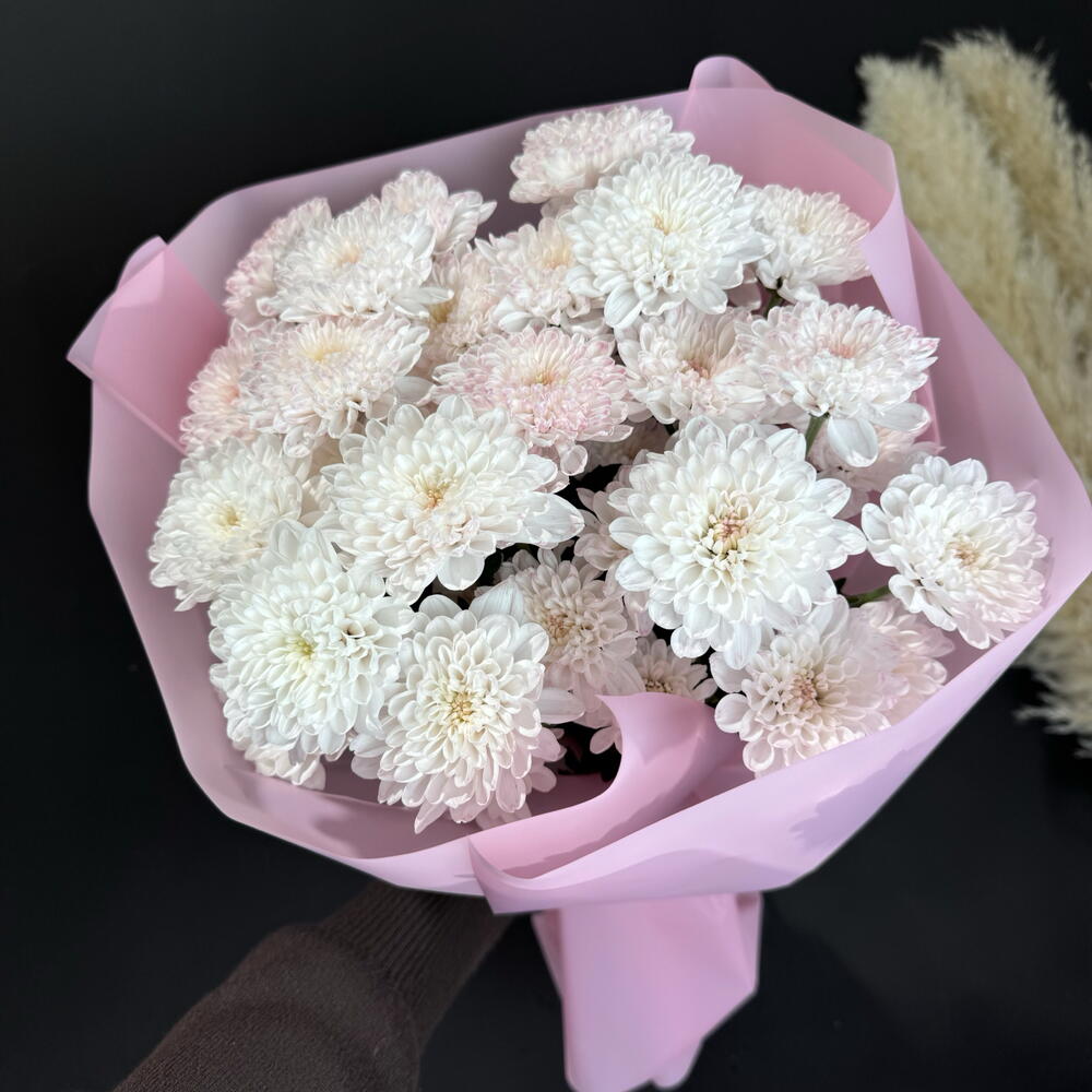 Розовые хризантемы