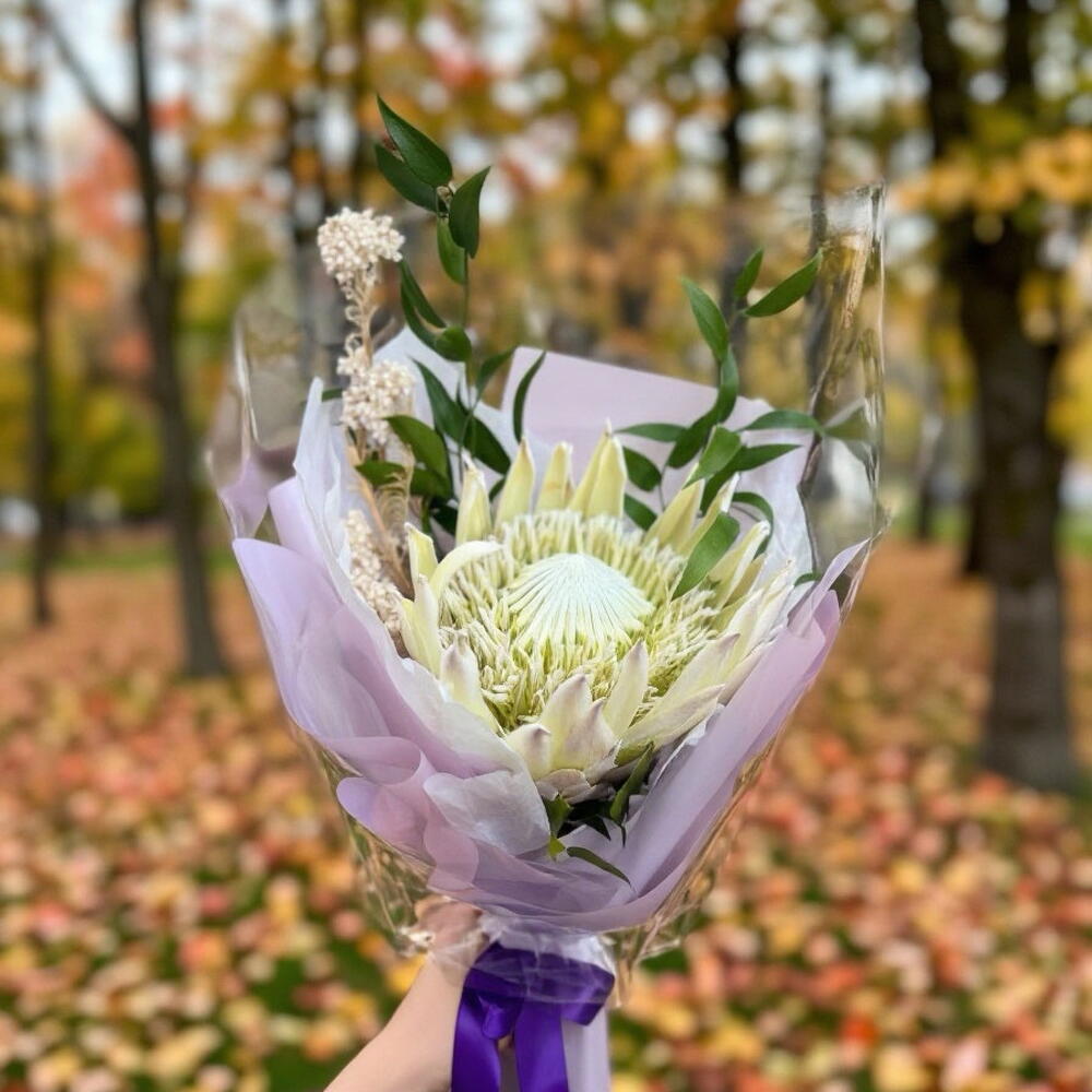 Протея с рускусом