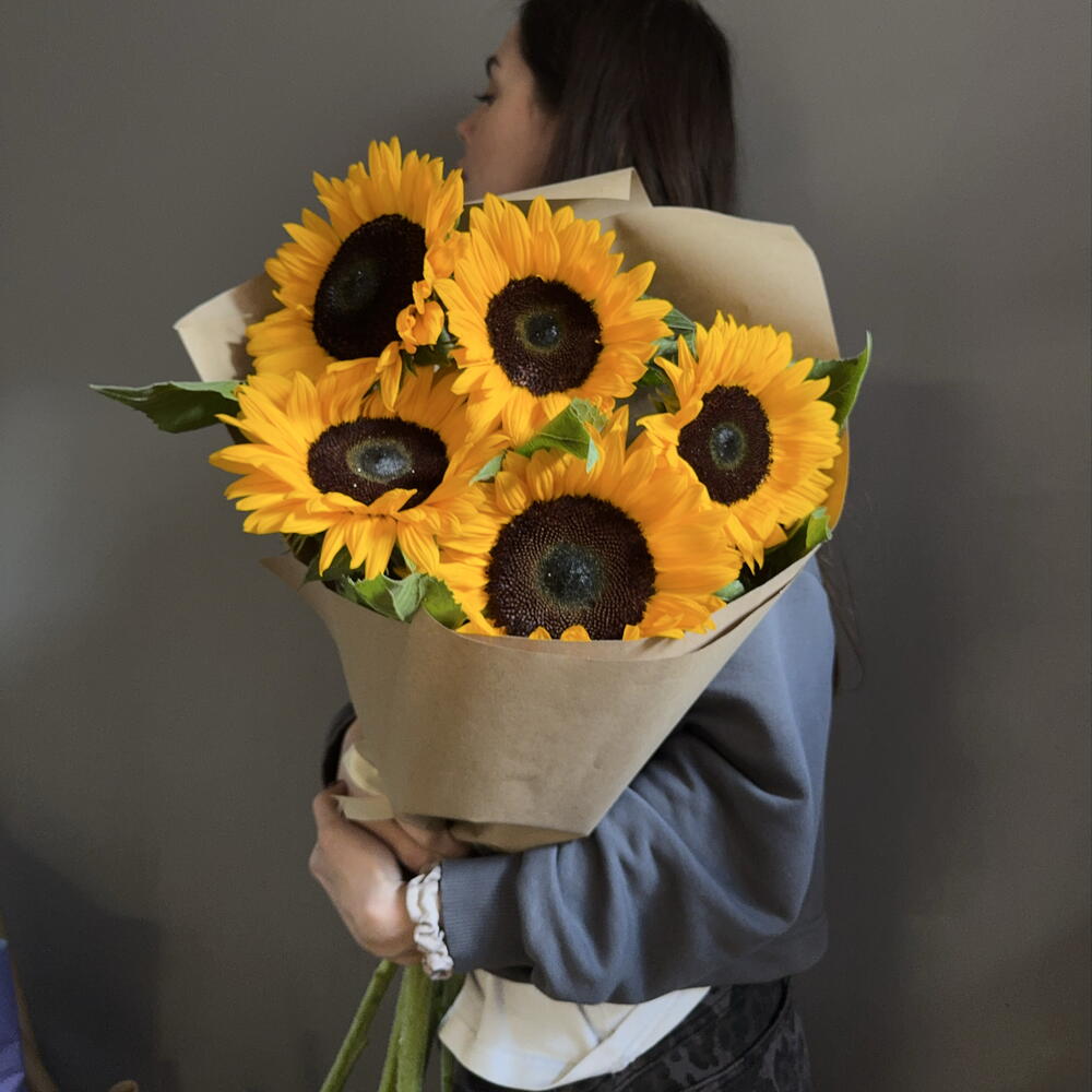 Подсолнухи 🌻