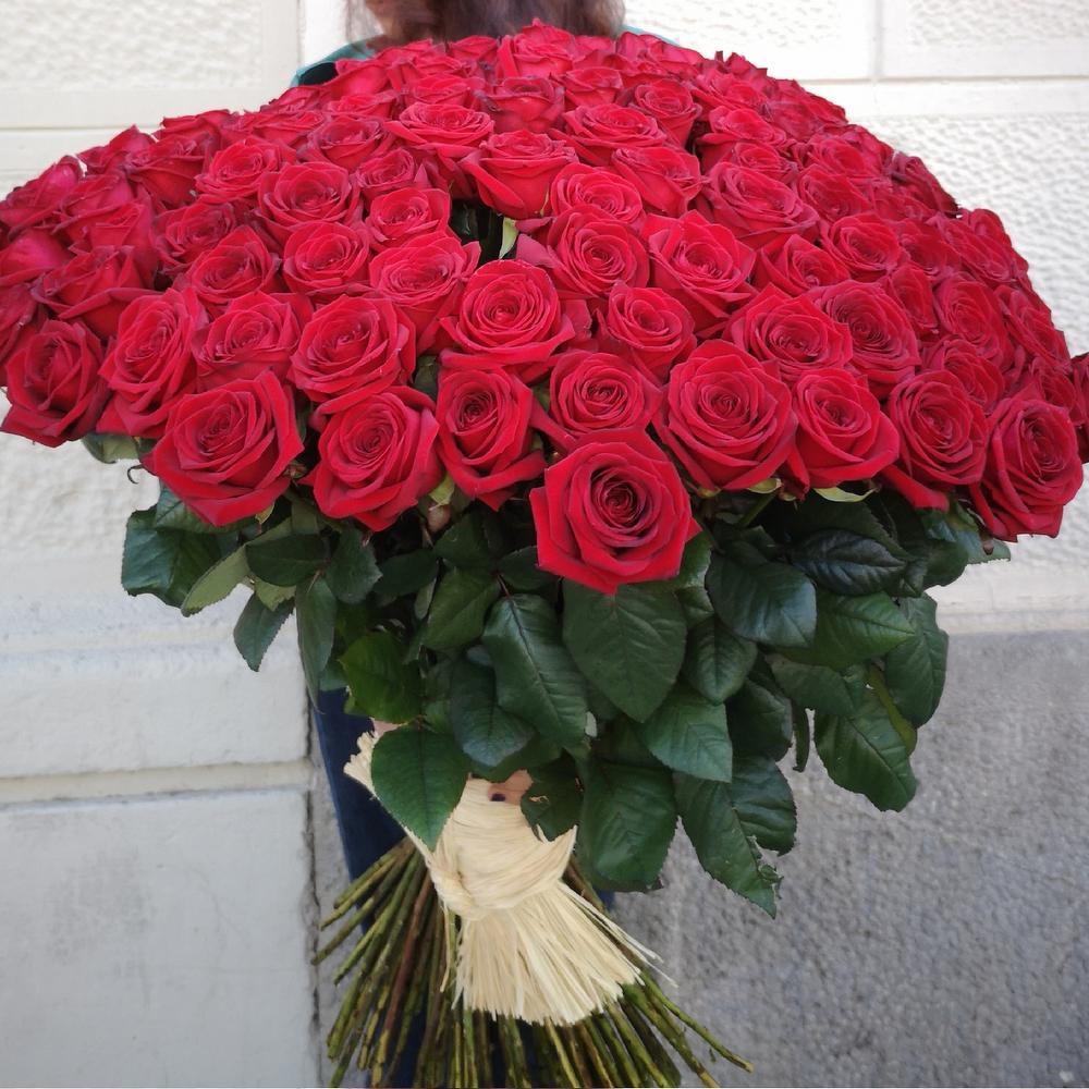 101 rosas rojas, Flowers & Gifts Barcelona, buy at a price of 32853 RUB,  Mono Bouquets on Orquidea flor with delivery | Flowwow
