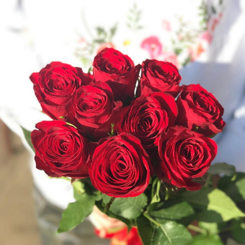 9 красных роз