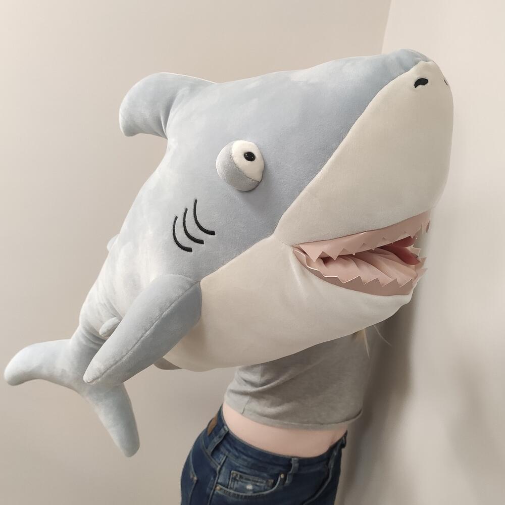 🦈 Акула