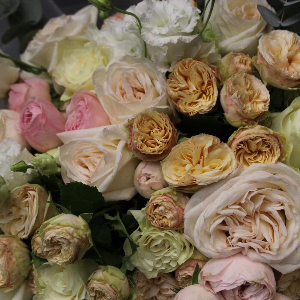 Bouquet 86