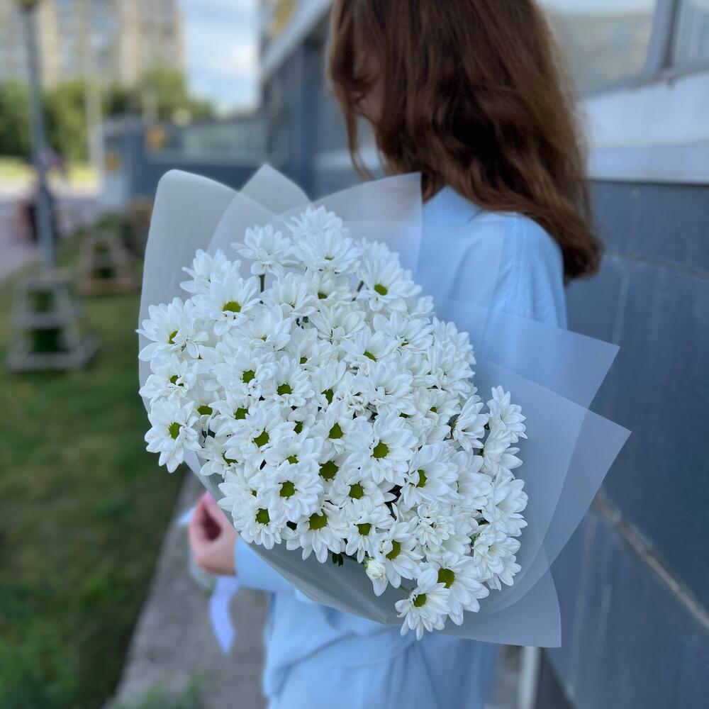 Хризантемы - Как ромашки в упаковке
