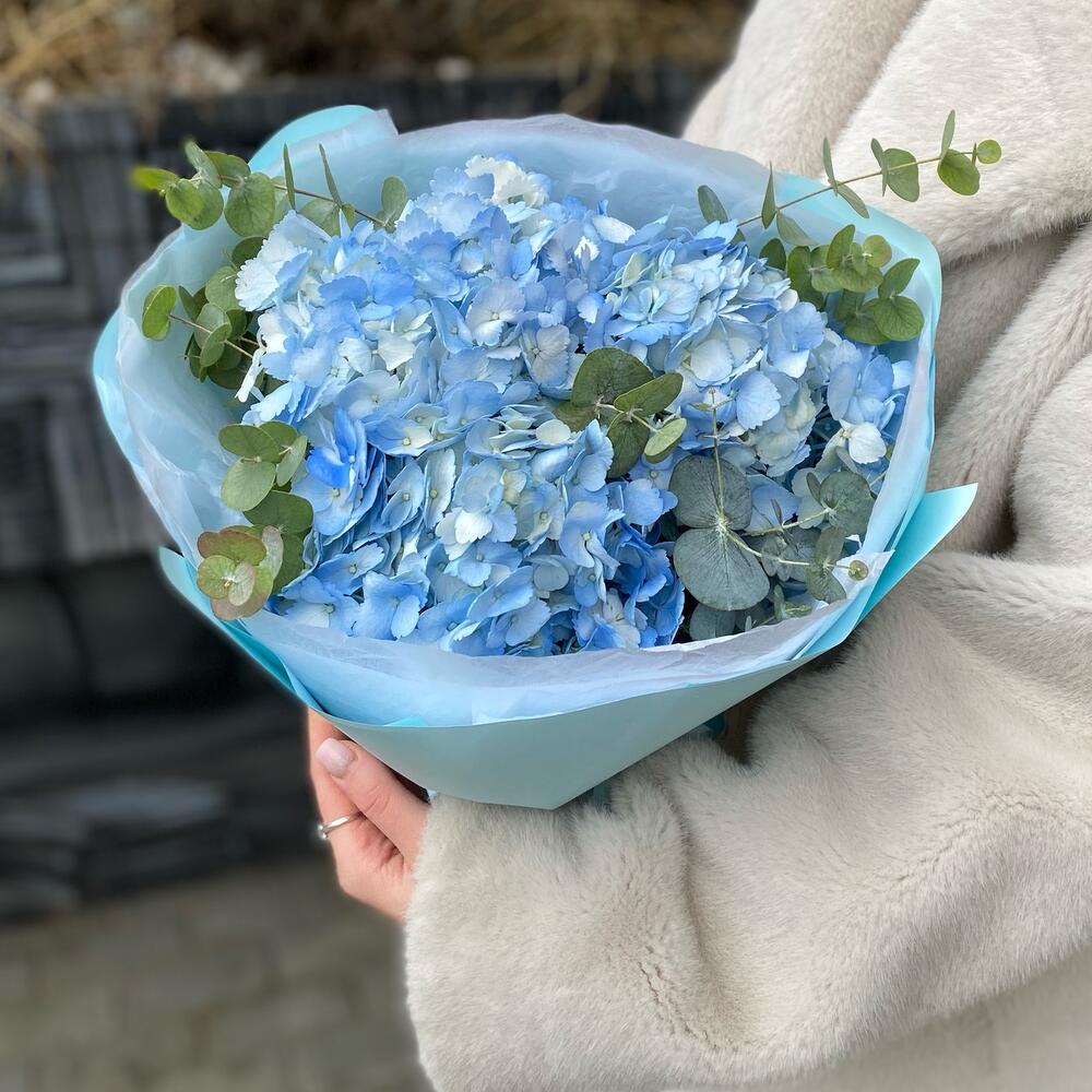 Голубые  гортензии 💙