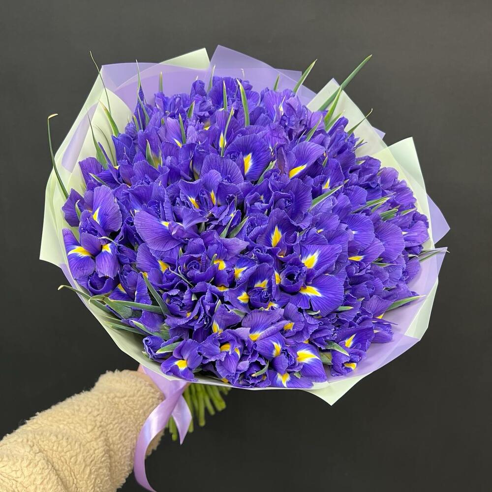 Синие Ирисы 101 шт