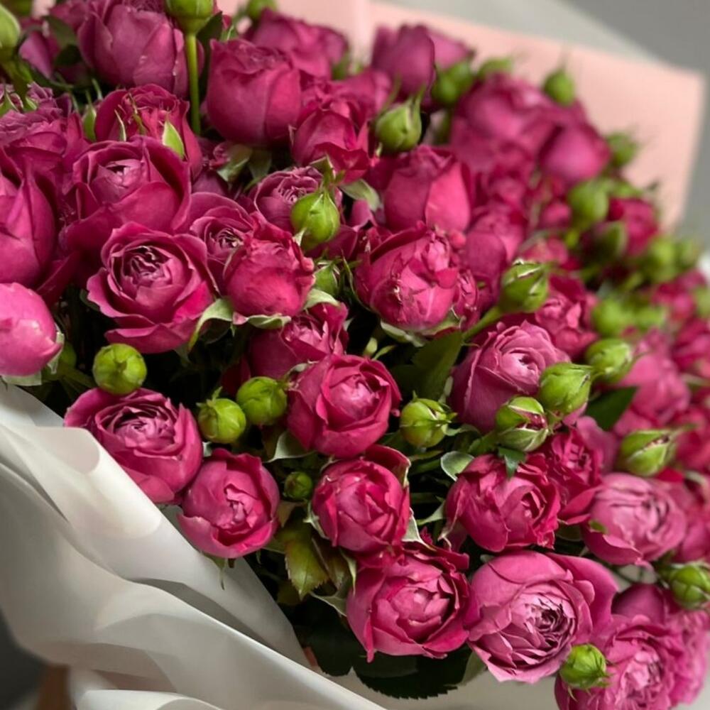Роза кустовая 💞💞💞